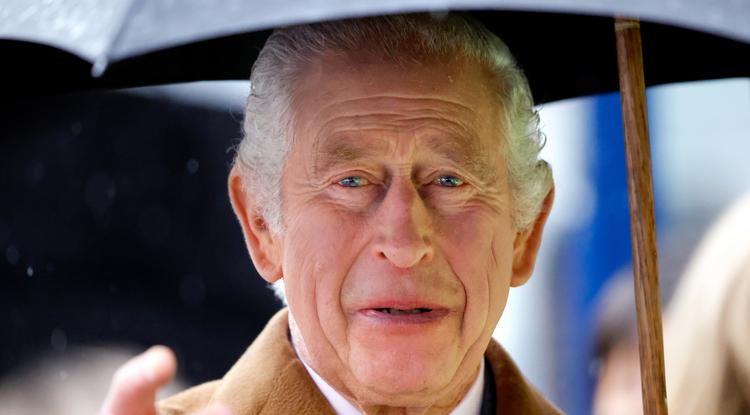 A Palota mondja: ő lesz az uralkodó Károly király halála után Fotó: Getty Images