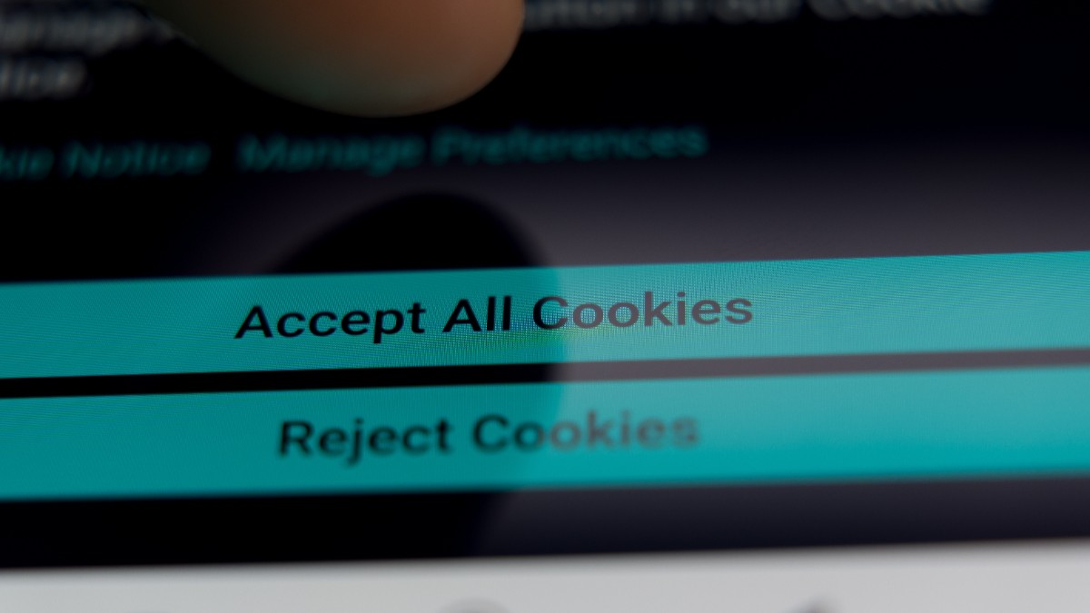 Noi condiții pentru prelucrarea datelor pe internet: un proiect de lege va permite utilizatorilor să refuze cookie-uri neesențiale printr-un singur click