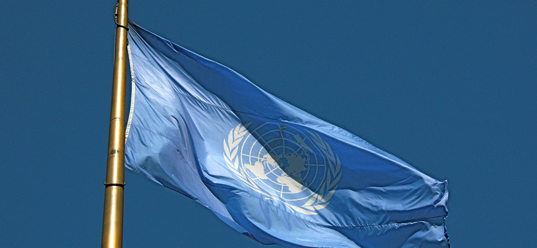 Litwa (i Europa) zajmują wysokie stanowisko w agencji ONZ ds. telekomunikacji