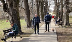 Prawdziwa wiosna w Polsce.  Zobacz, gdzie będzie najcieplej. Nawet 20 stopni Celsjusza