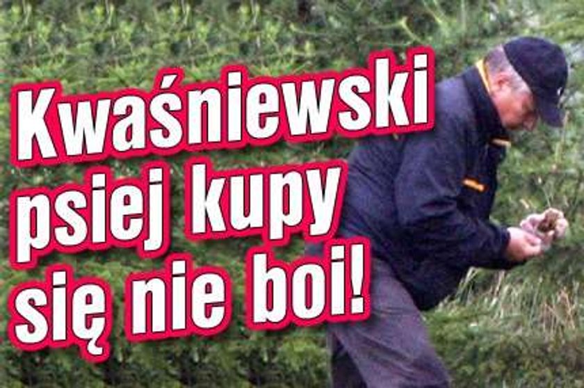 Kwaśniewski psiej kupy się nie boi