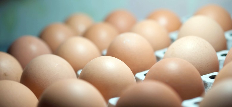 Jajka w cenie mięsa. Skąd wzięły się tak gigantyczne podwyżki?