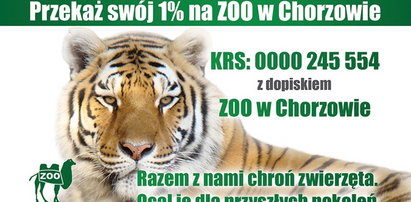 Każdy może pomóc chorzowskiemu Zoo