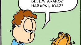 Kannibalizmus az új trend! Garfield különleges falatra vágyik
