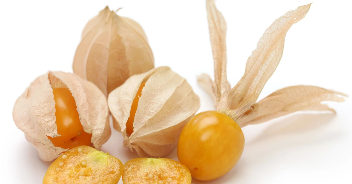 Miechunka: CRISPR zmienia niepozorny owoc w gwiazdę przyszłego rolnictwa