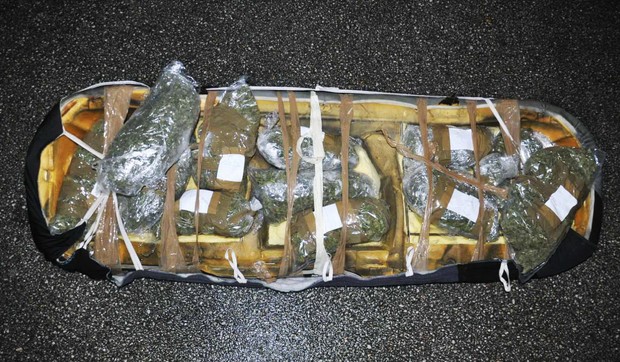 Zaplenjena marihuana