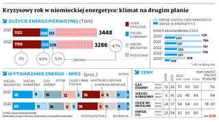 Kryzysowy rok w niemieckiej energetyce: klimat na drugim planie