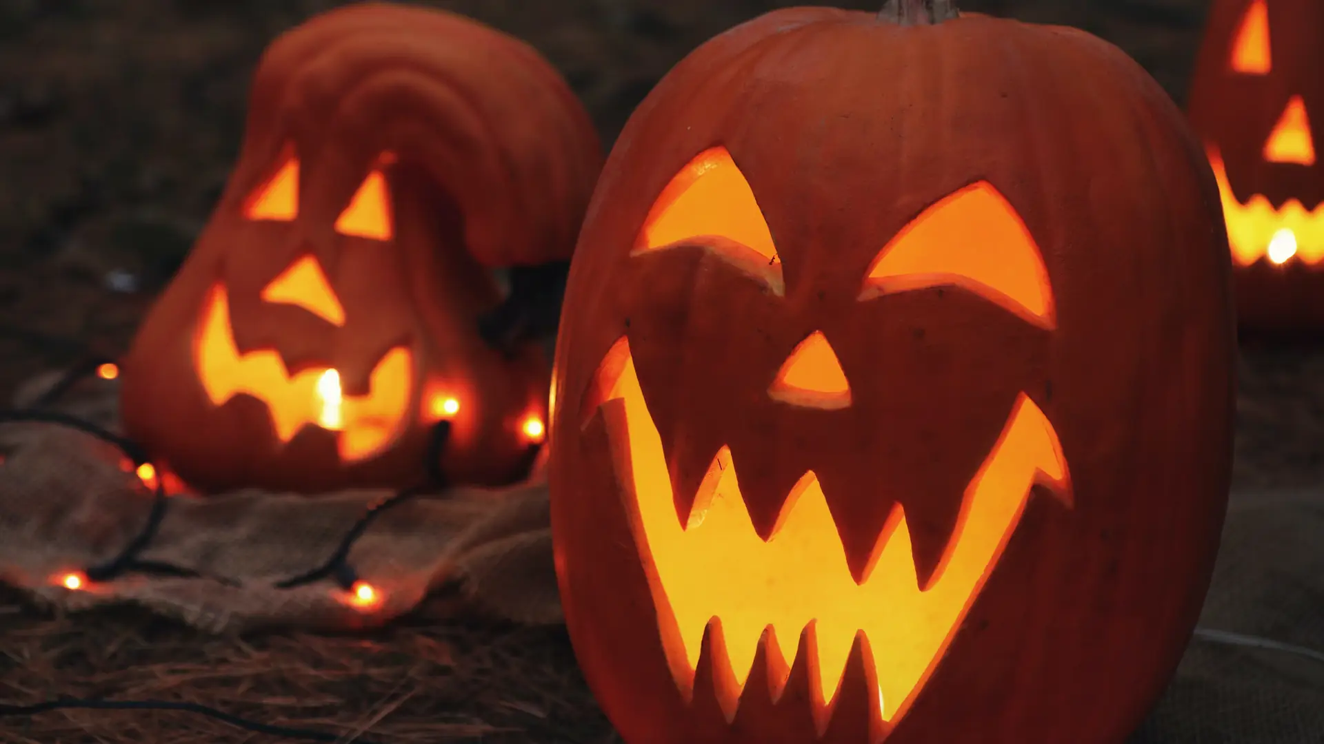 Czym wyciąć dynię na Halloween? Ten wykrawacz za 10 zł robi cuda i nie rdzewieje