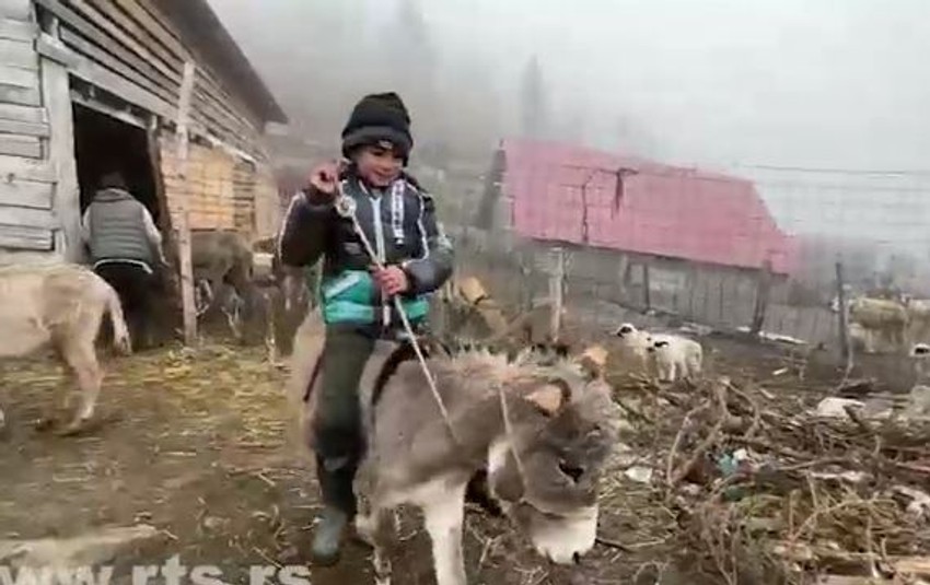 Lukovići sa Golije žive u potpunoj divljini