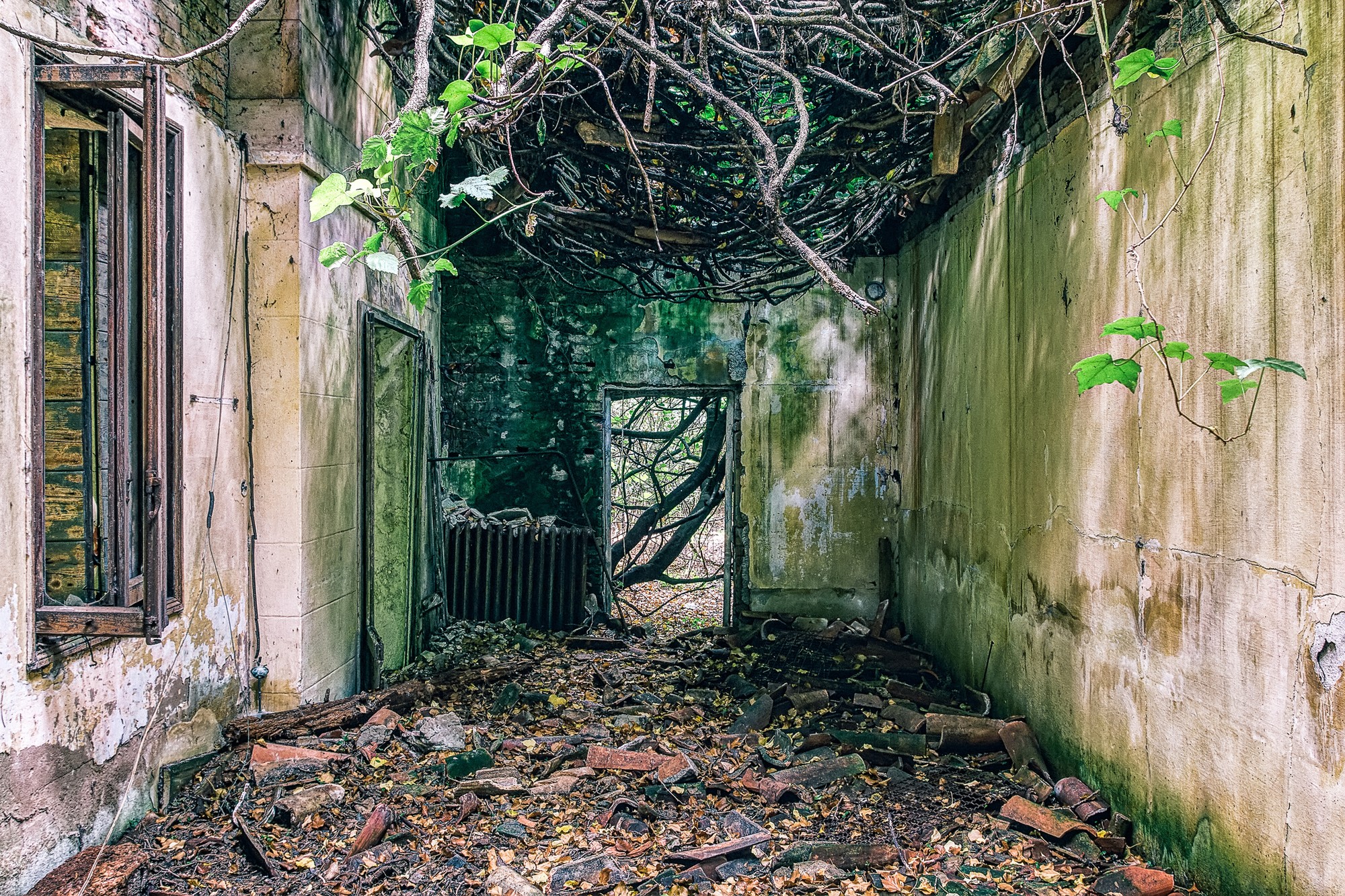 Ostrov Poveglia je v súčasnosti úplne opustený.