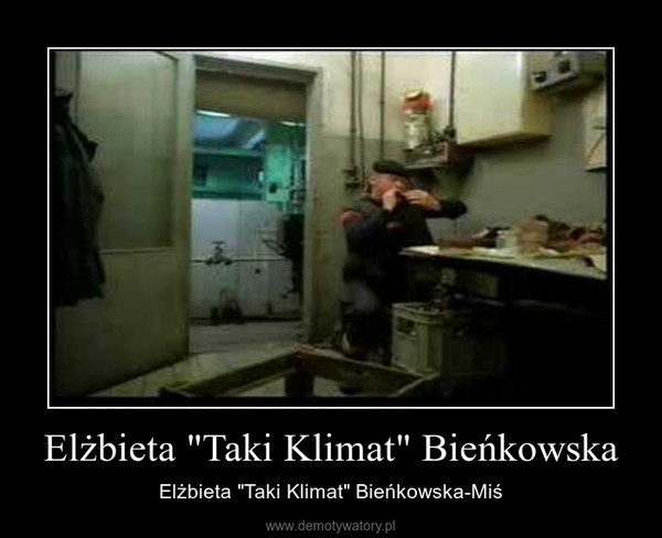 Elżbieta Bieńkowska. MEMY