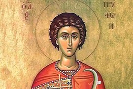 DANAS SLAVIMO SVETOG TRIFUNA Nemojte zaboraviti da ispoštujete ovaj OBIČAJ i obratite pažnju na ove stvari u prirodi to će vam reći KAKVA ĆE CELA GODINA BITI