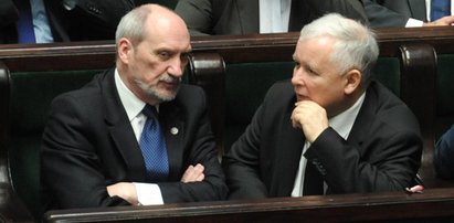 Misiewicz wróci! Macierewicz sprzeciwi się Kaczyńskiemu?