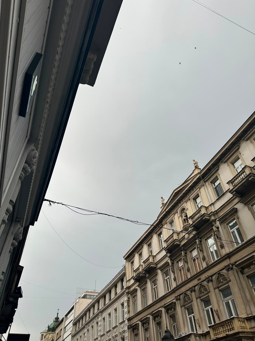 kiša u beogradu