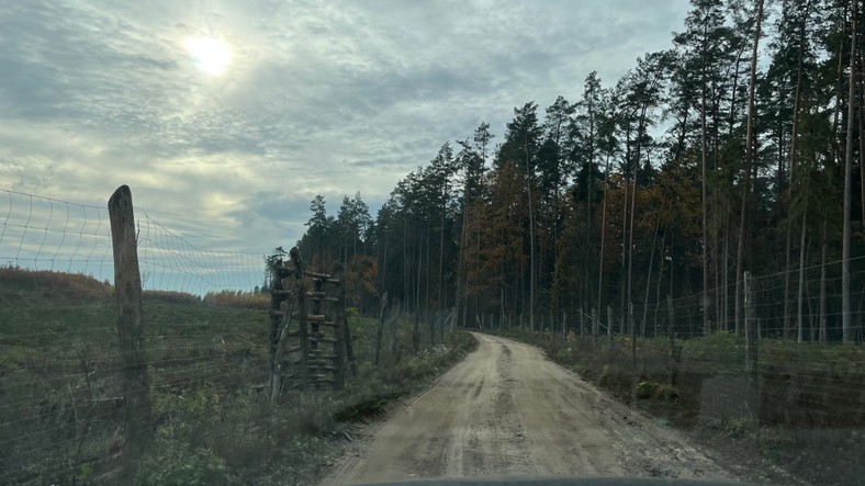 Zręby lasu za leśniczówką w stronę Niemczyna