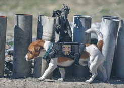 Wiceszef OSW: Ukraińcy pokazują, że są mistrzami świata w polityce informacyjnej