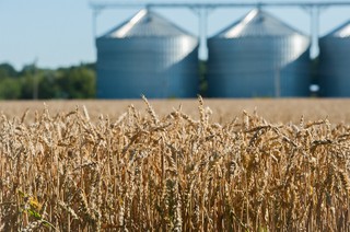 Czy można odliczyć VAT od inwestycji polegającej na zakupie i montażu zbiorników na przechowywanie zboża?