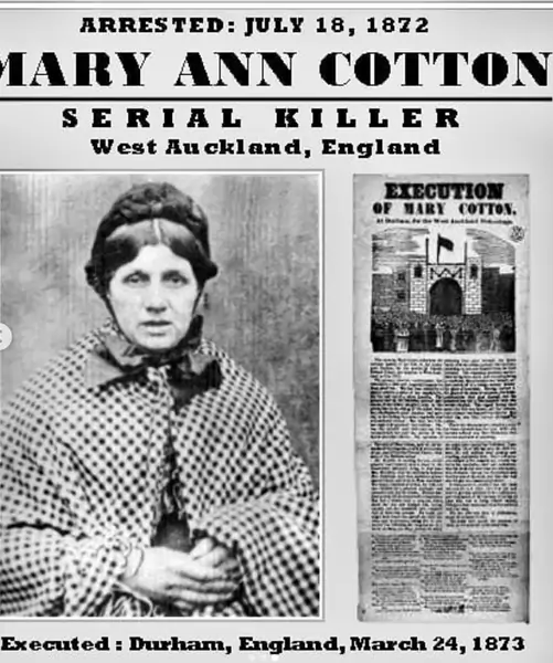 Mary Ann została oskarżona o zamordowanie 21 osób. Proces rozpoczął się 5 marca 1873 r.