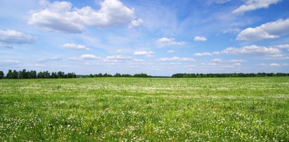 Groźna epidemia z południa dotrze do Polski?