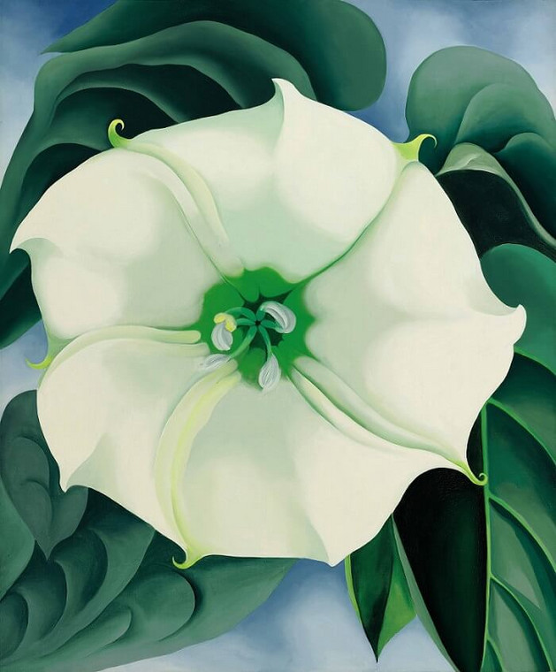 Georgia O'Keeffe - "Jimson Weed / White Flower No. 1"