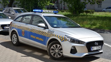 straż gminna nałoży na właściciela nieruchomości mandat. nie złożyłeś