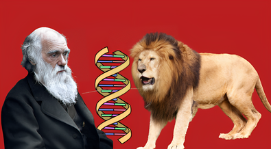 Quiz: Where is DNA found inside a cell?