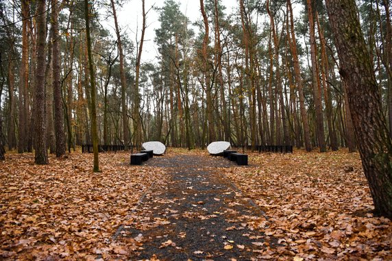 Na terenie cmentarza junikowskiego powstał Las Pamięci fot. UMP