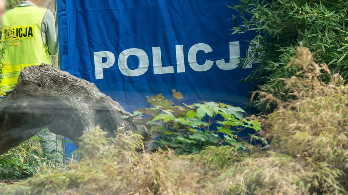 Reanimacja trwała kilkadziesiąt minut. 17-latek uderzył w stos drewna, nie żyje