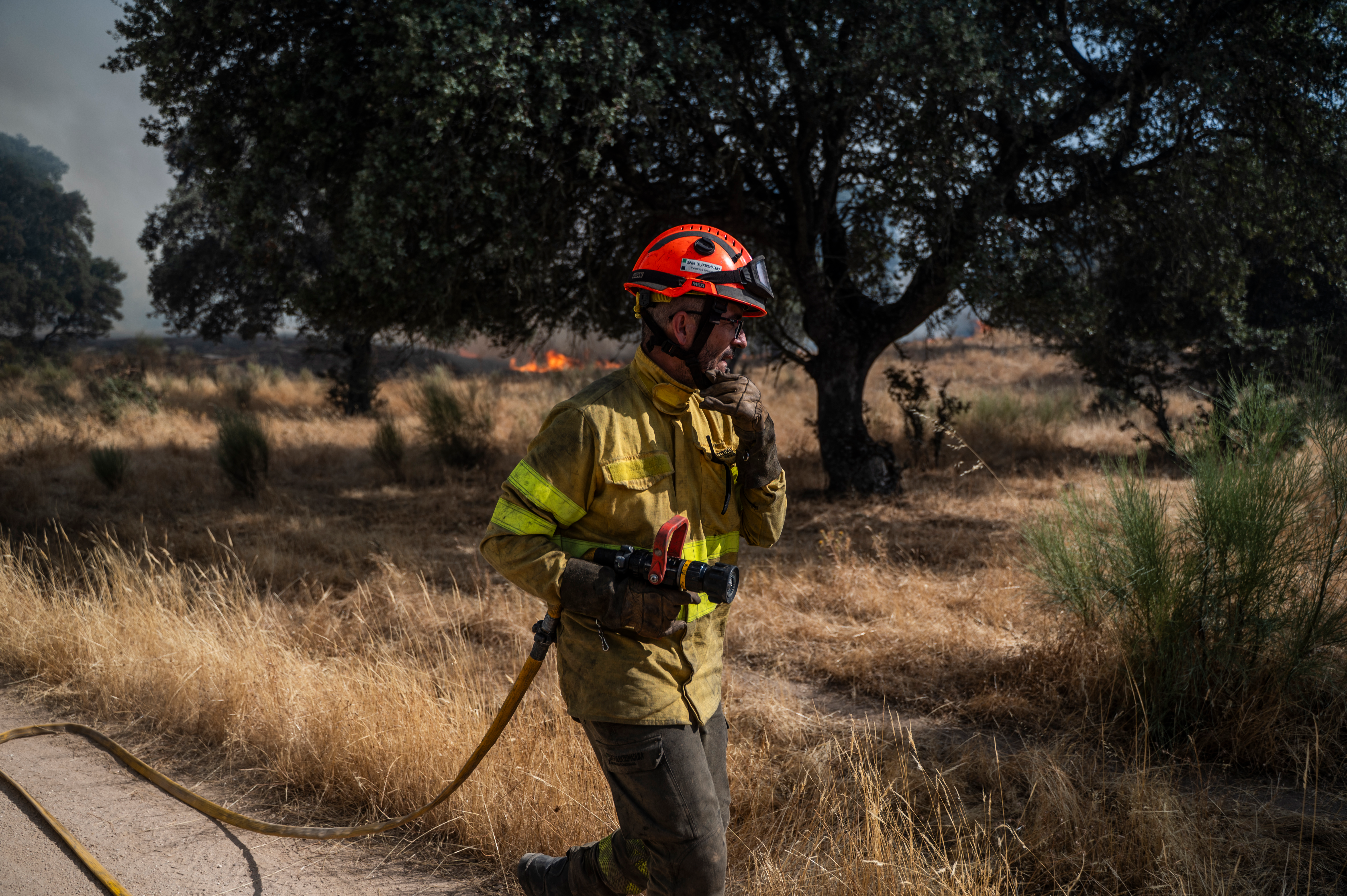 2.000 Touristen fliehen vor dramatischem Waldbrand in Tarifa