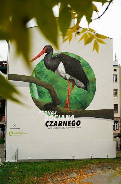 Mural 