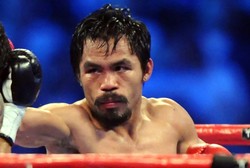 Skandal w ringu. Okradli Pacmana z pasa?