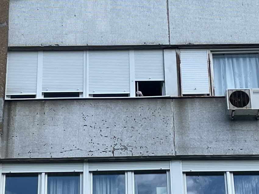 Uviđaj se vrši i na 4. spratu zgrade