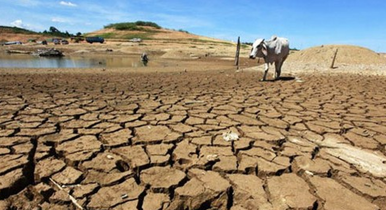 FG wants companies fighting climate change to begin account disclosure Jan 2024. [HumAngle]