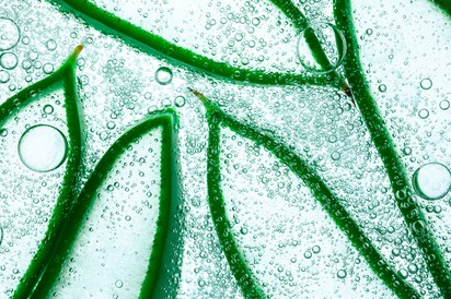 Veszélyazonosító listán az aloe vera, mert növelheti a vastagbélrák kockázatát
