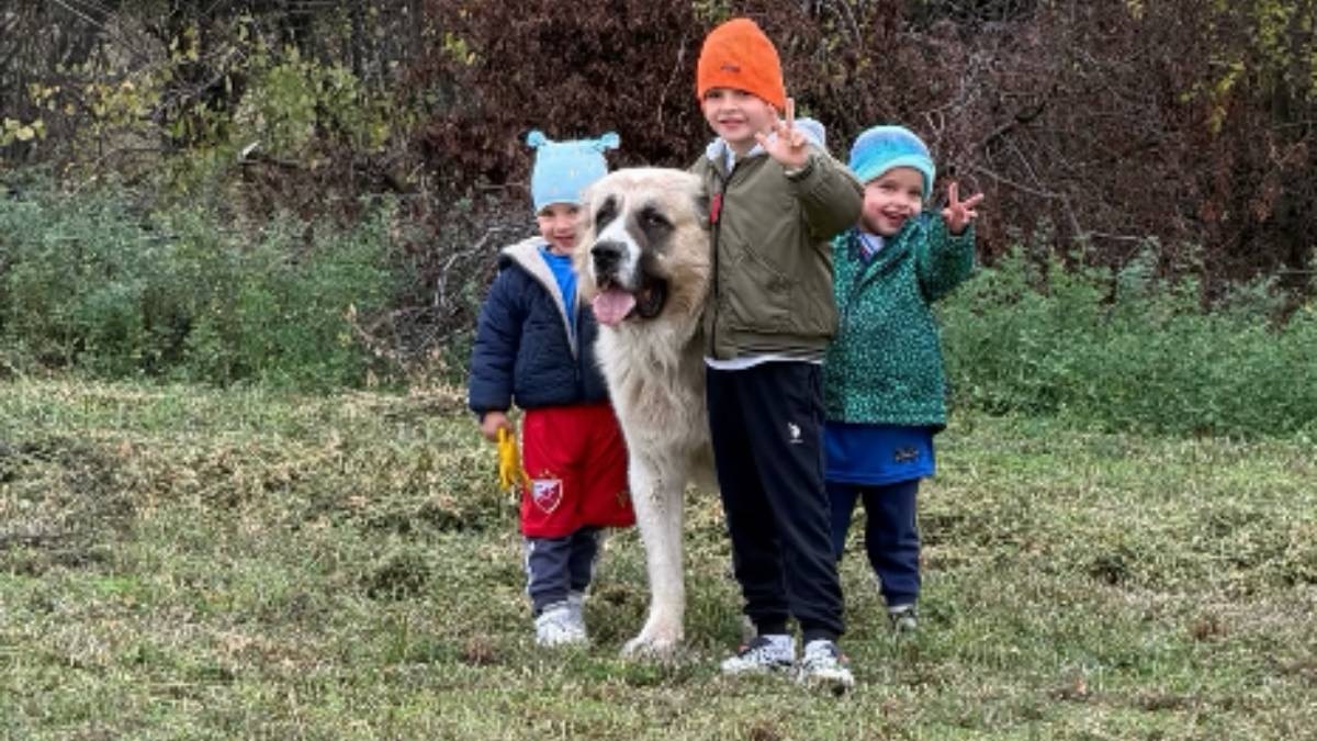 TMURNO SUBOTNJE JUTRO PRETVORILI U UŽIVANJE! Veljko i Bogdana dobro utoplili Željka, Krstana i Isaiju, pa ih izveli na poljanu: Dečaci se igraju sa psom, prava idila