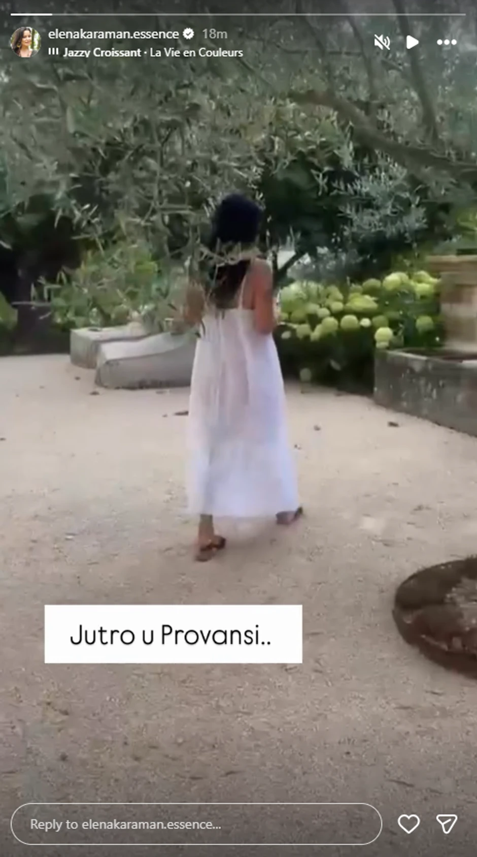 Elena Karić, objava