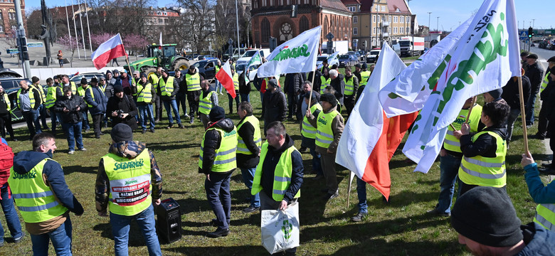 Spór o zboże z Ukrainy. Eksperci wskazują winnych. "Nikt nie chciał tego dostrzegać"