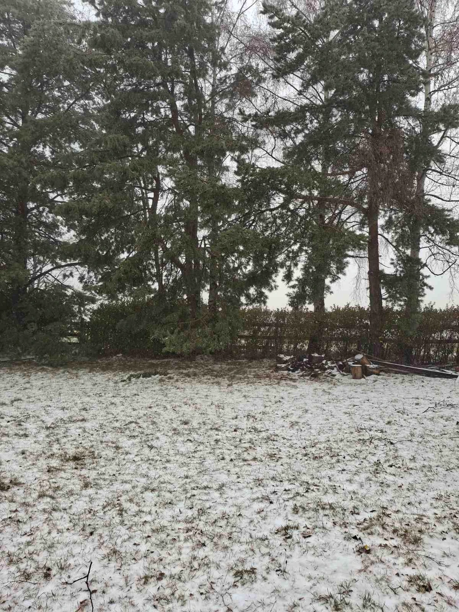 Sneg na Zlatiboru jutros