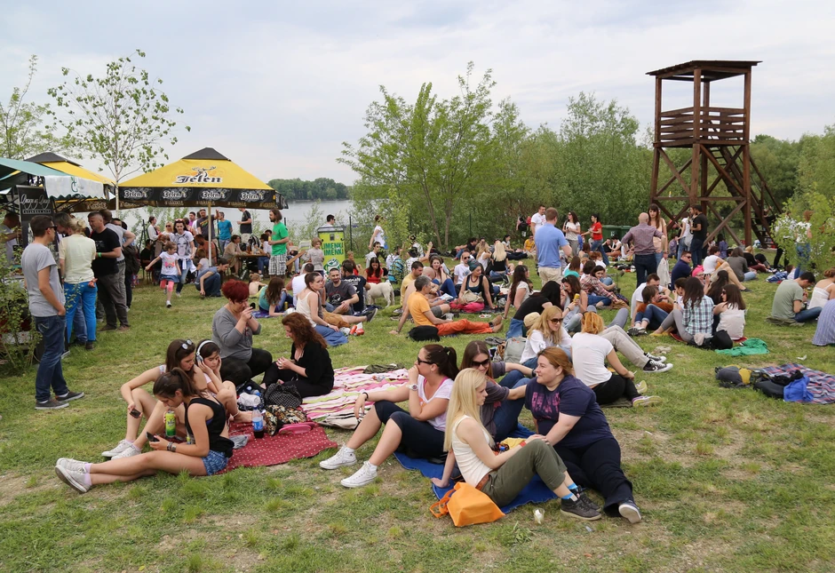 Na samo 30 kilometara od centra Beograda nalazi se Bojčinska šuma