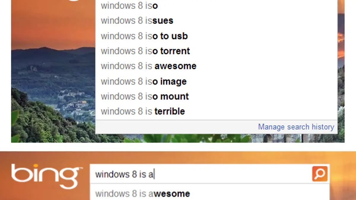 Google vs. Bing 1