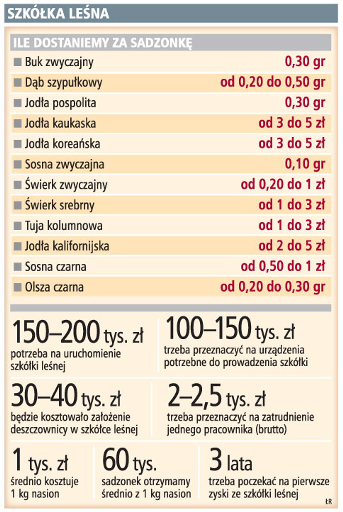 Szkółka leśna
