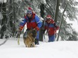 KARPACZ POKAZY PSÓW LAWINOWYCH