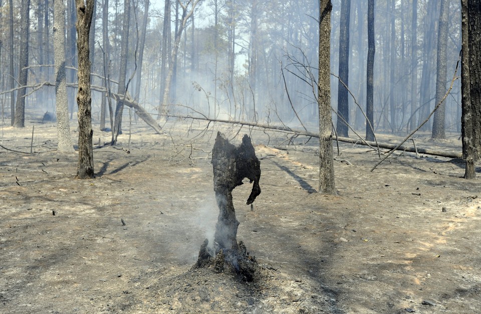 USA TEXAS WILDFIRES