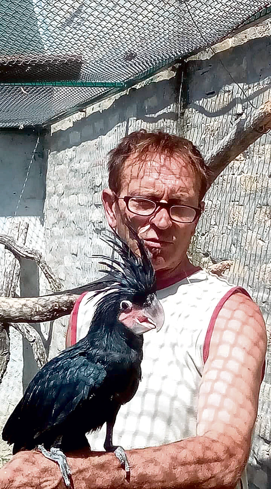 Milan Mirić godinama uzgaja ovu retku vrstu ptica