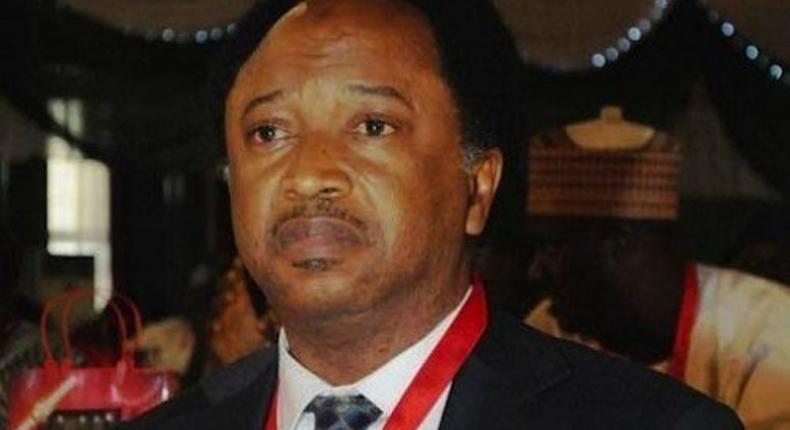 Shehu Sani 