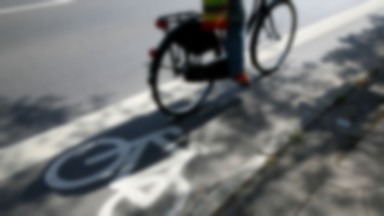Toruń: system rowerów miejskich w 2013 roku