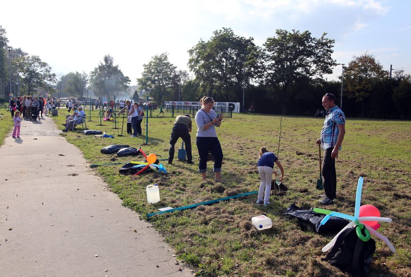 Wspólna praca