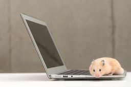 Efekt procesu Chomikuj.pl: Komisja zbada, jak Polska reguluje internet