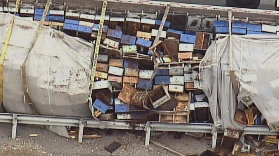 Prevrnuti kamiopn sa 460 košnica