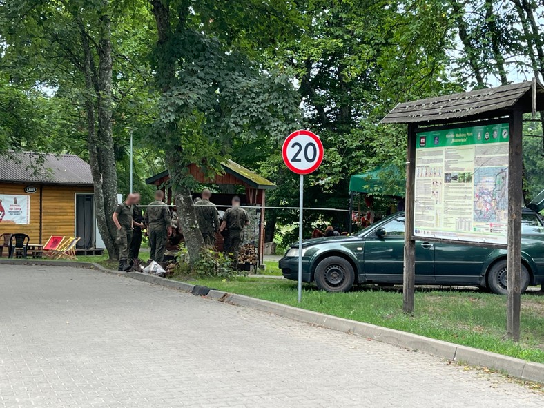 Białowieża